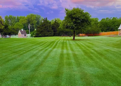 Pinstripe Lawn Care and Landscaping Residential Mowing Symmetrical Stripes