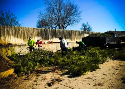 Pinstripe Lawn Care and Landscaping Professional Tree Removal and Trimming.