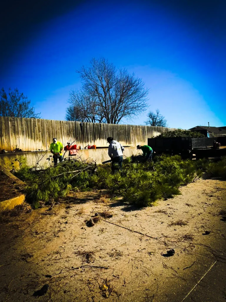 Pinstripe Lawn Care and Landscaping Professional Tree Removal and Trimming. 