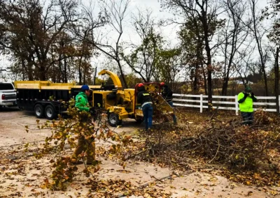 Pinstripe Lawn Care and Landscaping Tree Services